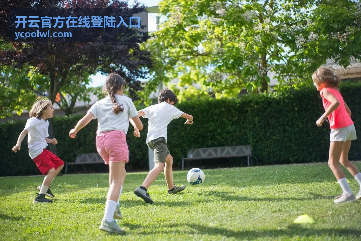 开云官方在线登陆入口在浏览器中完成访问准备与状态核对示意图