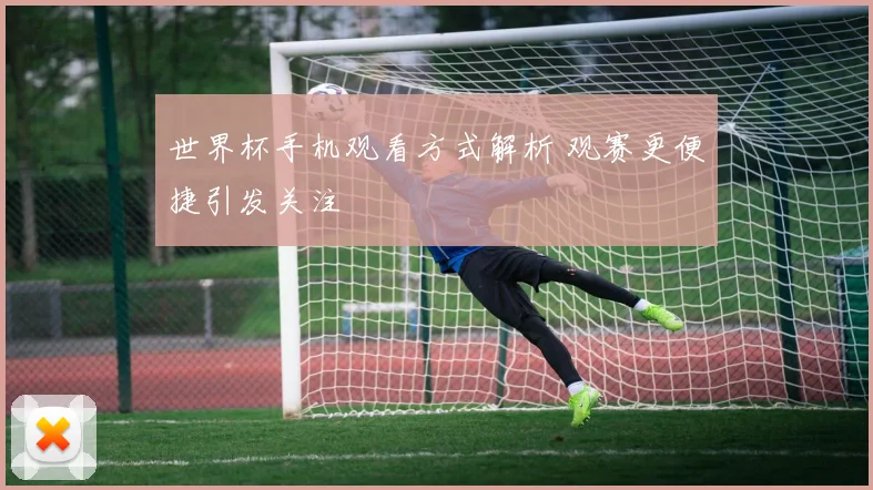 世界杯手机观看方式解析 观赛更便捷引发关注