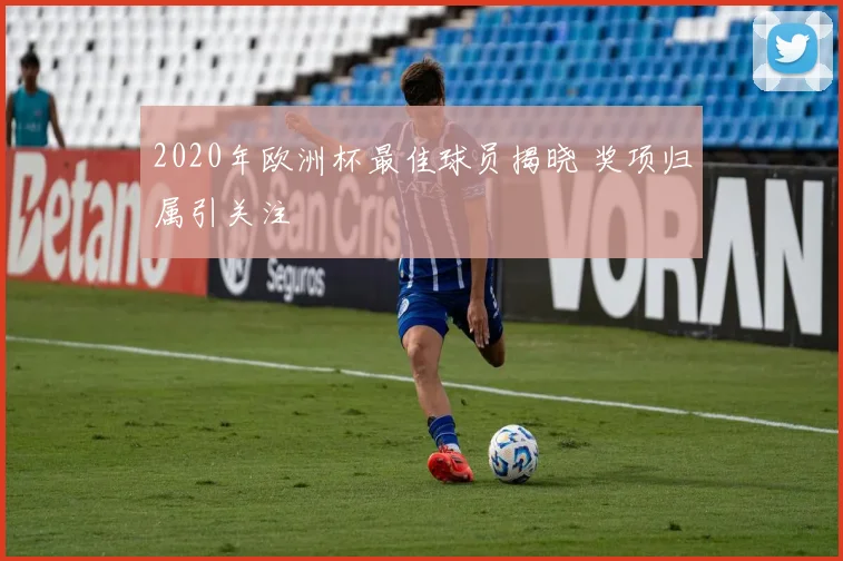 2020年欧洲杯最佳球员揭晓 奖项归属引关注